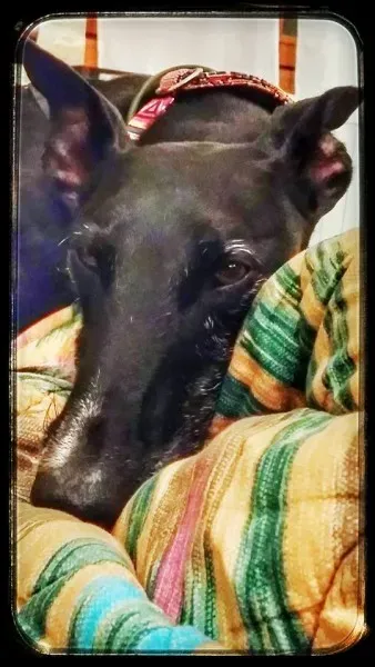 13092141 1334605446556309 6223486904318544358 n