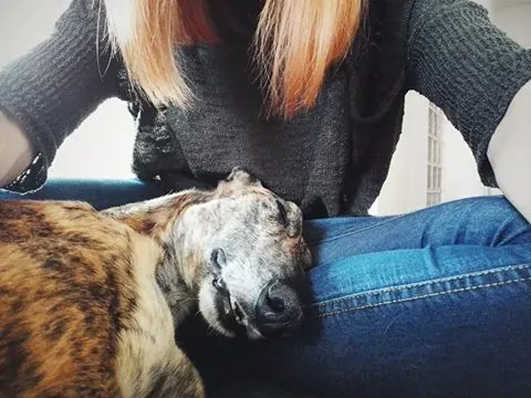 13092153 10154157291014547 1608383450345051989 n