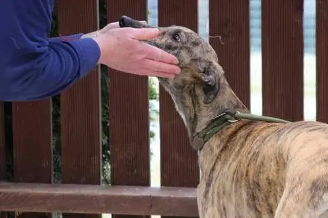 13092172 1016143585136163 1141973062920014947 n