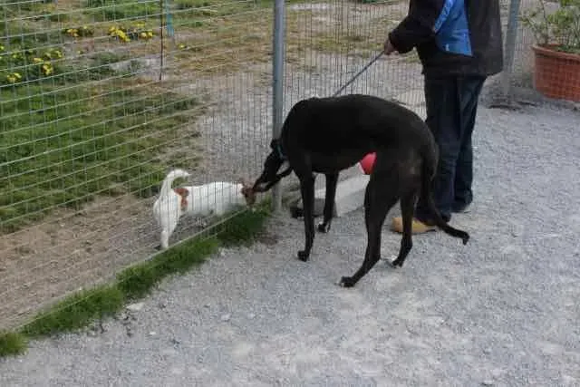 13092172 1016147738469081 3224251649558127710 n