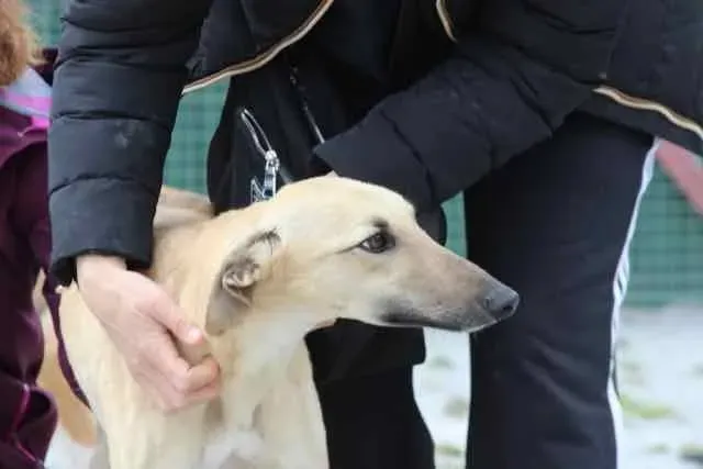 13092180 1016142585136263 6819057394897523589 n