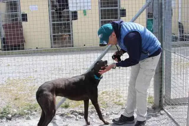 13094106 1016147128469142 7015542415180307413 n