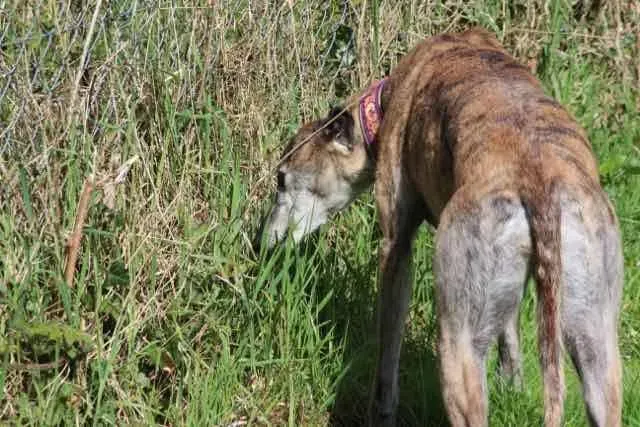 13094142 1016145121802676 1635210185050902487 n