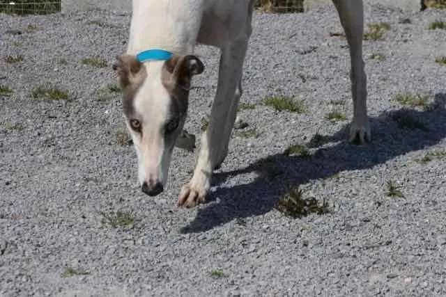 13094176 1016147001802488 8690795810811262066 n