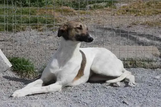 13094208 1016141351803053 6424473151344295511 n