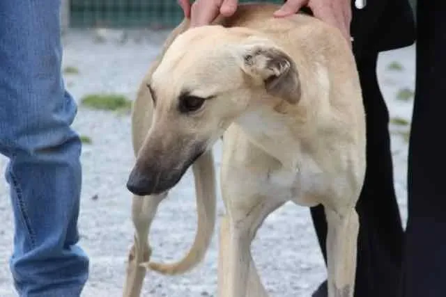 13094234 1016142618469593 1689221158693883699 n