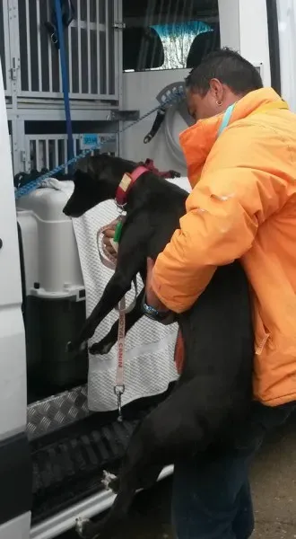 13094266 1025812680835920 3560130644831622904 n