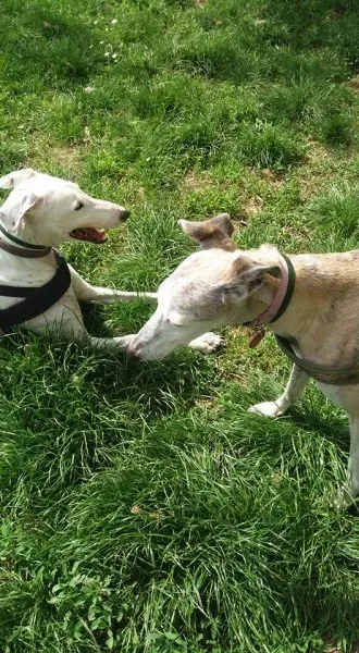 13094327 10207895017626053 6327728346408064280 n