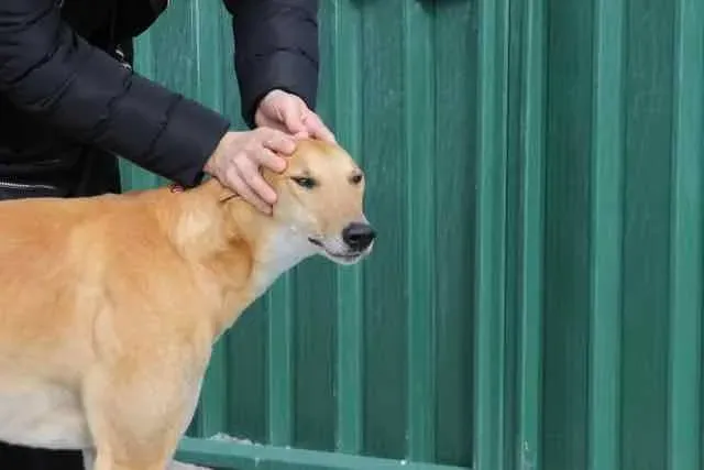 13094381 1016141975136324 4465133479866036790 n