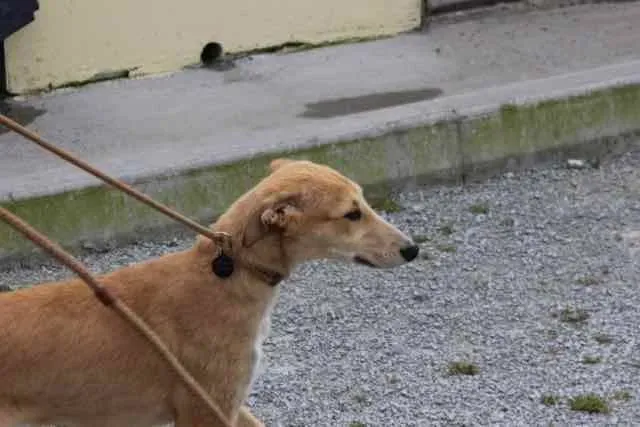 13095796 1016140005136521 3073076759344635879 n