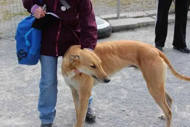 13095840 1016141581803030 617827682635502729 n