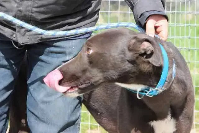 13095979 1016147808469074 910323007310791915 n