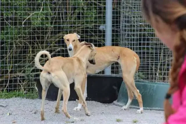 13096086 1016142711802917 2449005379847395781 n