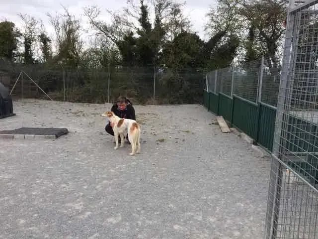 13096106 1016150881802100 1189310273887526297 n