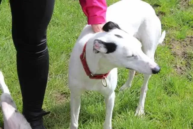 13096130 1016145898469265 4392818702712086007 n