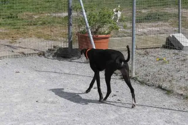 13096180 1016147268469128 4920467655232662515 n