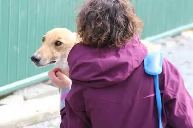 13096242 1016142021802986 2465084007863596375 n