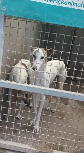 13096264 923500957747698 4525734107936286356 n