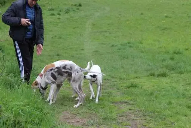 13096275 1016145661802622 3467783636892958391 n