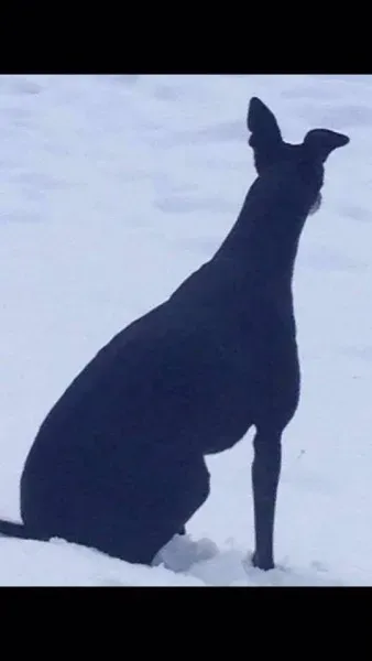 13096281 1019466898137165 4401513306260336473 n