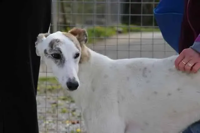 13096307 1016141408469714 120269661413949500 n