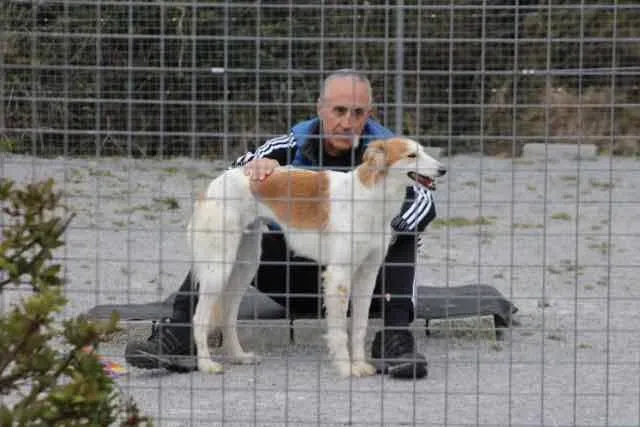 13096348 1016144021802786 7157770496152354496 n