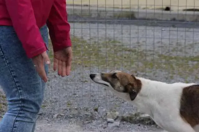 13100689 1016141025136419 2712594503486882311 n