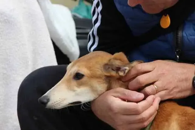 13100689 1016143311802857 8137775317180076747 n