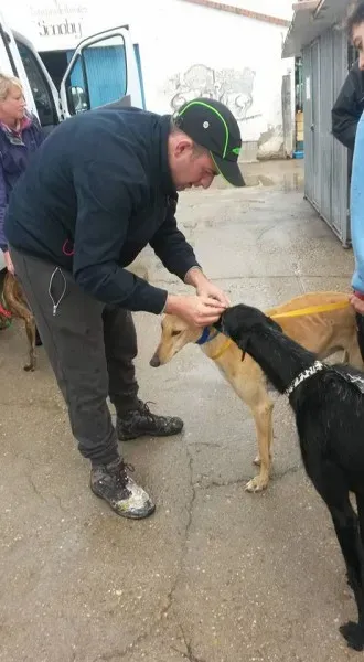 13100694 1025812754169246 1246898249712732470 n