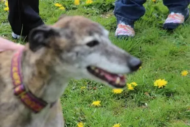 13100710 1016145311802657 3539492781269516017 n