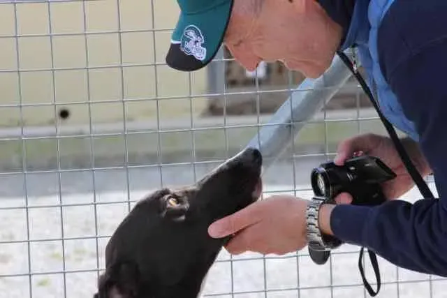 13100824 1016147241802464 6466112194777604136 n