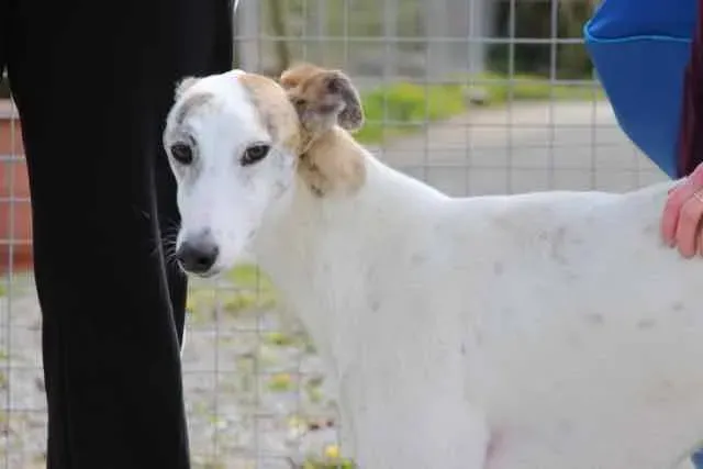 13100887 1016141391803049 2080130222451831861 n