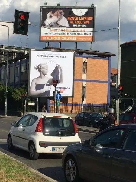 13101326 1036509839773952 1672969186 n