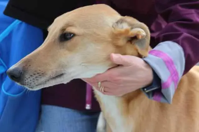 13102603 1016141631803025 4798828028643795318 n