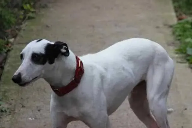 13102603 1016145478469307 3515763464004251614 n