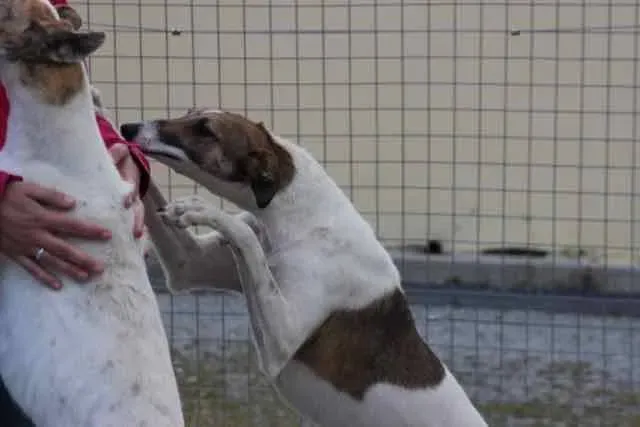 13102609 1016141098469745 5234927369468656839 n