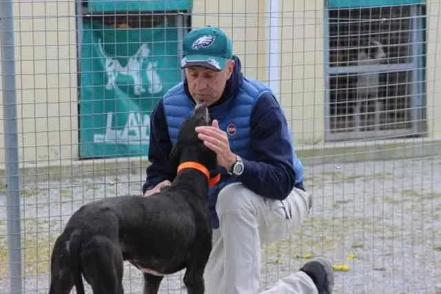 13102692 1016147658469089 43718662548200450 n