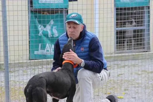 13102776 1016147675135754 1788654773491231347 n