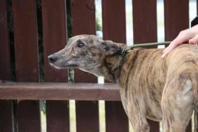 13102804 1016143528469502 5350271811888640251 n