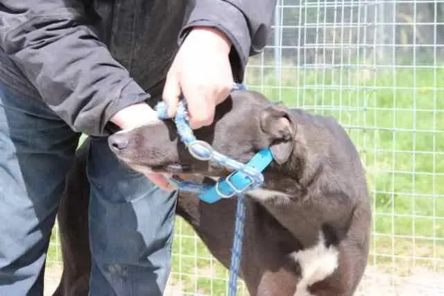 13102819 1016148001802388 5943462593280874836 n