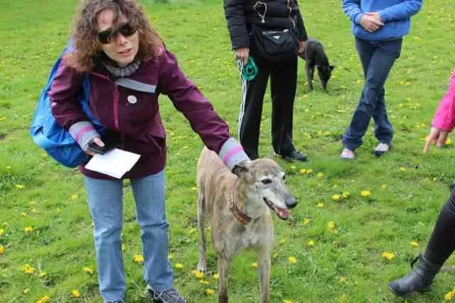 13102826 1016145251802663 6234077573888387554 n