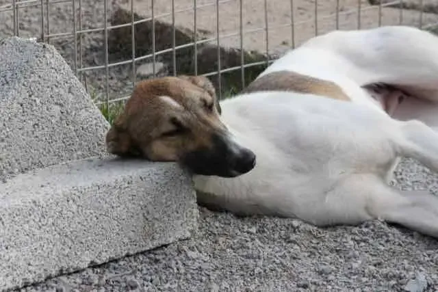 13102832 1016141461803042 9102702229976417482 n