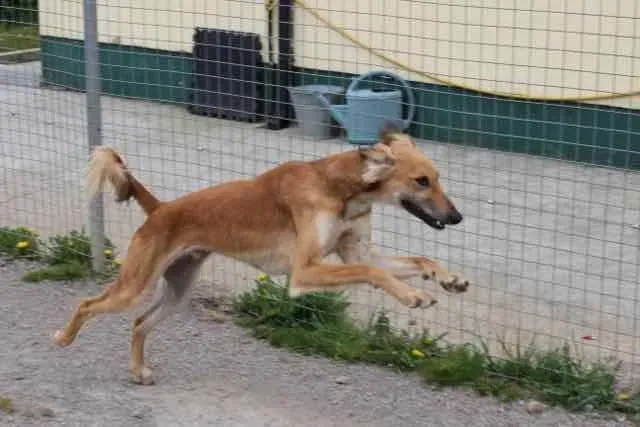 13103291 1016142188469636 6392212954478448184 n