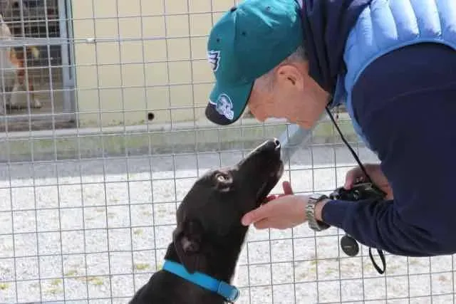 13103332 1016147198469135 3092852380333737306 n