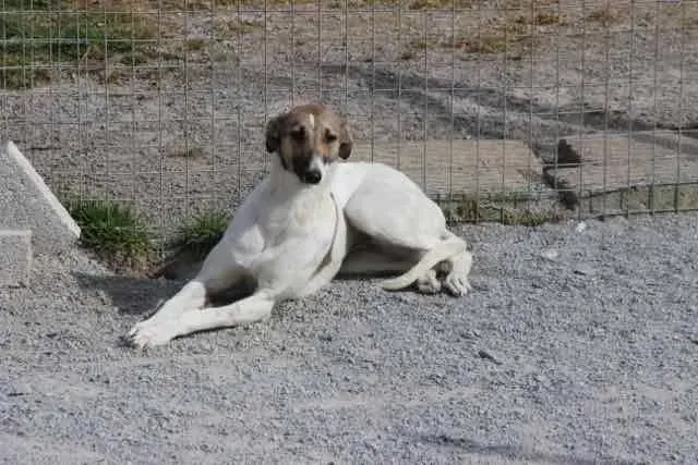 13103337 1016141355136386 6592406084113387546 n