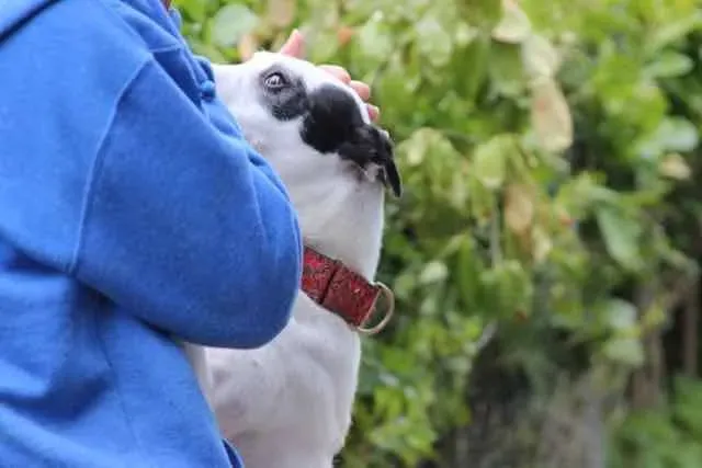 13103394 1016145521802636 7595020829976427975 n