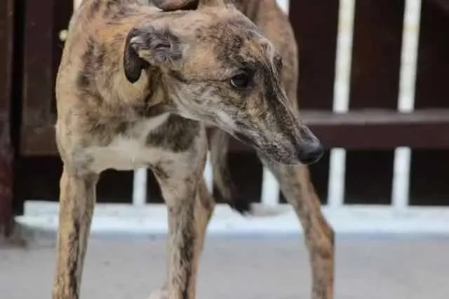 13103432 1016143408469514 2467390032963151829 n