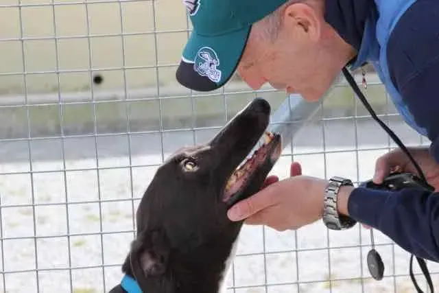 13103447 1016147195135802 3642963856230953312 n