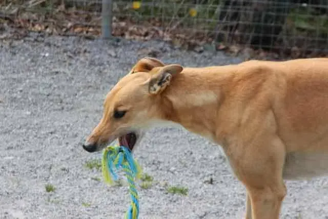 13118938 1016141931802995 112017618835592320 n