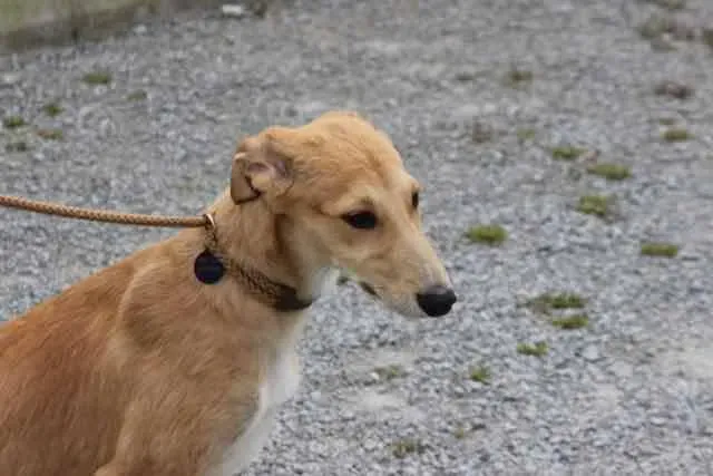 13118988 1016139985136523 923326387023692115 n